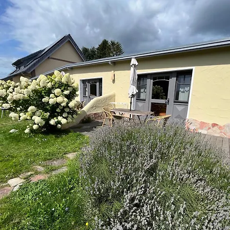 Am Selliner Mit Terrassen Daire Moritzdorf