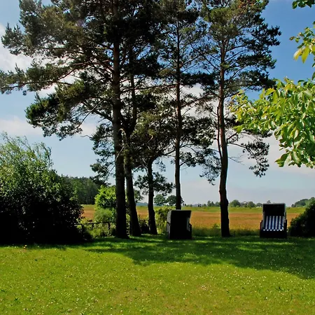 Am Selliner Mit Terrassen Daire Moritzdorf